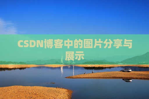 CSDN博客中的图片分享与展示